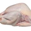 Organic Turkeys - Melbourne Home Delivery.