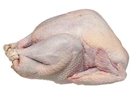 Turkeys